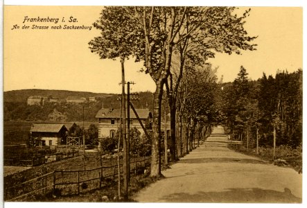 13177-Frankenberg-1911-Straße nach Sachsenburg-Brück & Sohn Kunstverlag