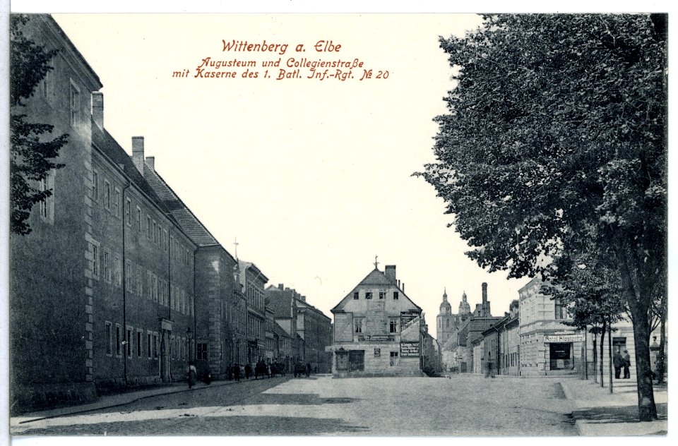 12917-Wittenberg-1911-Augusteum und Collegienstraße-Brück & Sohn Kunstverlag