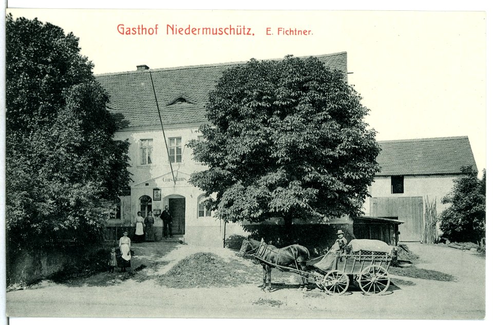 13343-Niedermuschütz-1911-Gasthof-Brück & Sohn Kunstverlag