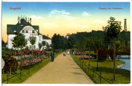15156-Burgstädt-1912-Wettinhain-Brück & Sohn Kunstverlag