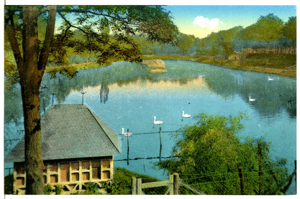 15143-Wittenberg-1912-Anlagen-Brück & Sohn Kunstverlag