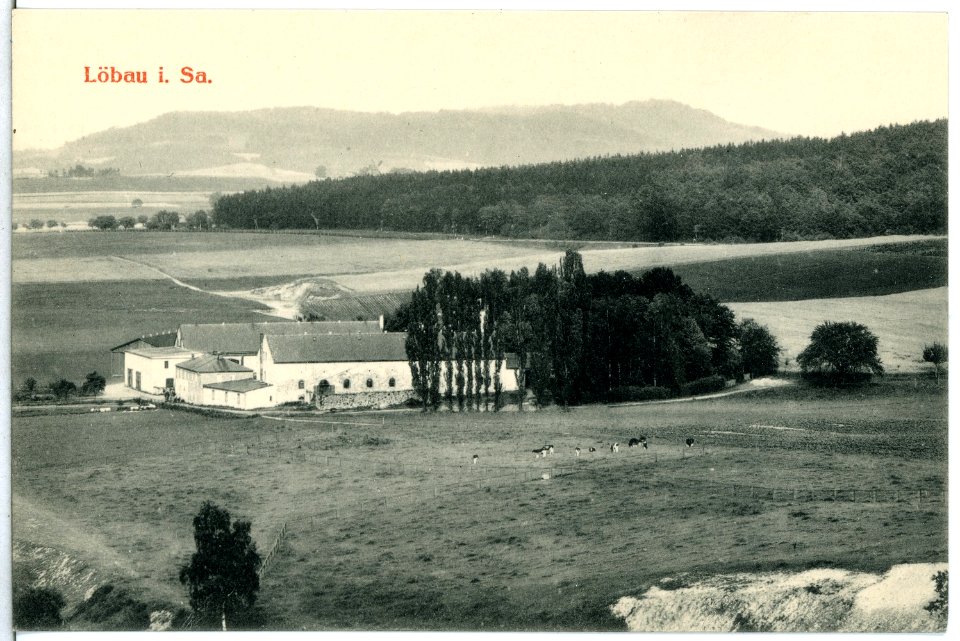 15201-Löbau-1912-Gutshof-Brück & Sohn Kunstverlag