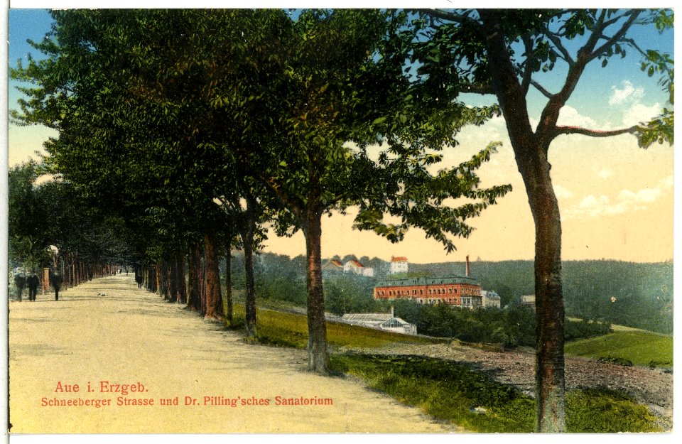 15431-Aue-1913-Schneeberger Straße und Dr. Pillings Sanatorium-Brück & Sohn Kunstverlag