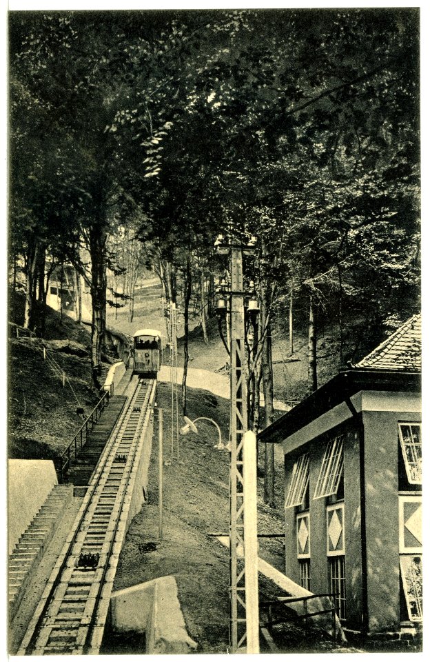 15346-Karlsbad-1913-Drahtseilbahn nach der Freundschaftshöhe-Brück & Sohn Kunstverlag