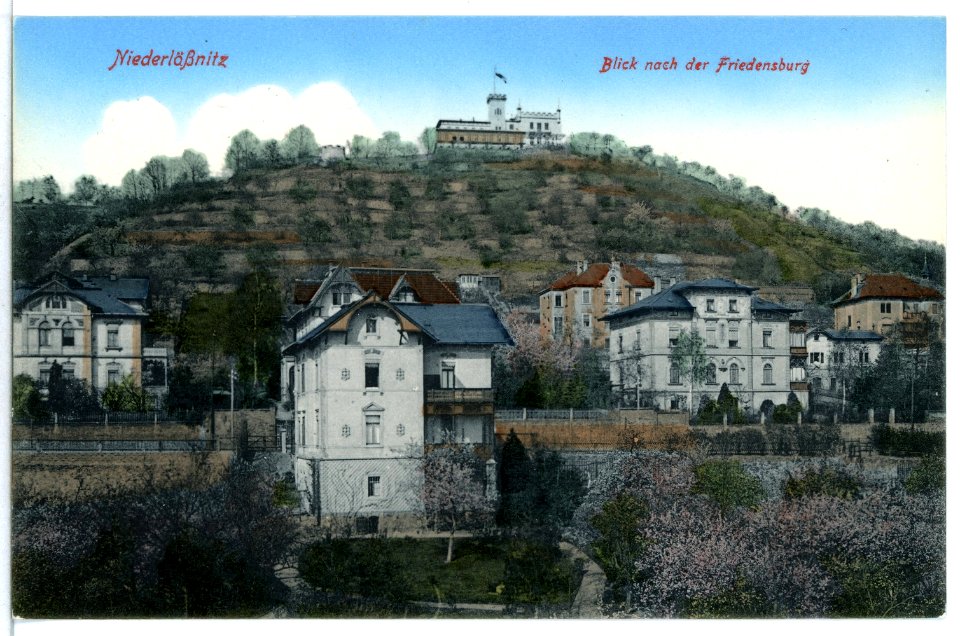 13093-Radebeul-1911-Blick nach der Friedensburg - Niederlößnitz-Brück & Sohn Kunstverlag