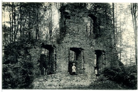 13226-Altzella-1911-Abteiruine-Brück & Sohn Kunstverlag