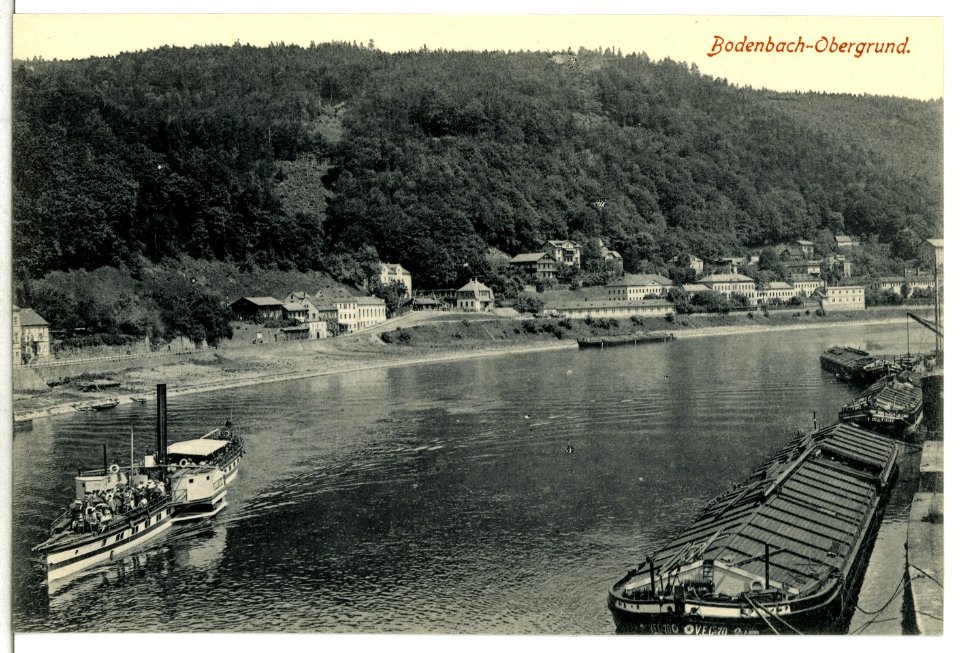 13381-Bodenbach-1911-Obergrund - Elbe mit Dampfer und Schleppkähnen-Brück & Sohn Kunstverlag