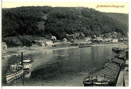13381-Bodenbach-1911-Obergrund - Elbe mit Dampfer und Schleppkähnen-Brück & Sohn Kunstverlag