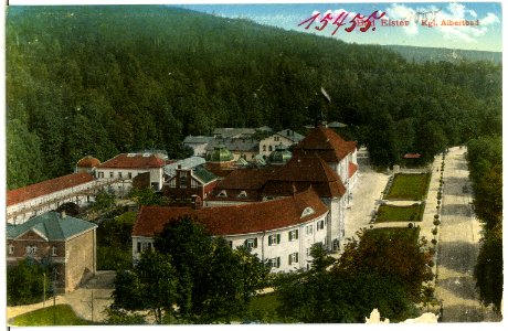 15455-Bad Elster-1913-Königliches Albertbad-Brück & Sohn Kunstverlag