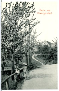 13261-Hintergersdorf-1911-Partie aus Hintergersdorf-Brück & Sohn Kunstverlag