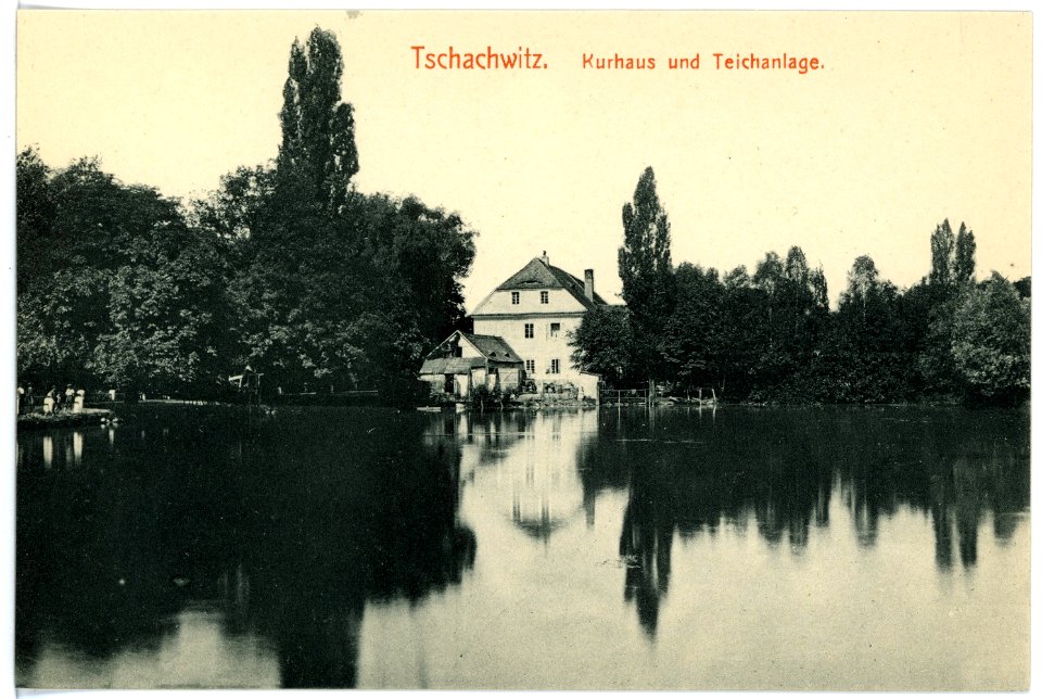 15548-Tschachwitz-1913-Kurhaus und Teichanlagen-Brück & Sohn Kunstverlag