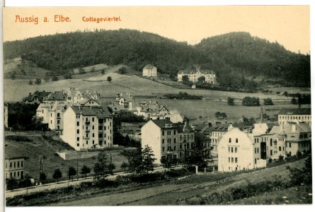 15185-Aussig-1912-Cottageviertel-Brück & Sohn Kunstverlag