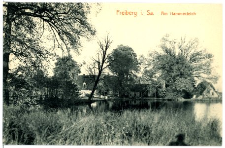 15497-Freiberg-1913-Am Hammerteich-Brück & Sohn Kunstverlag
