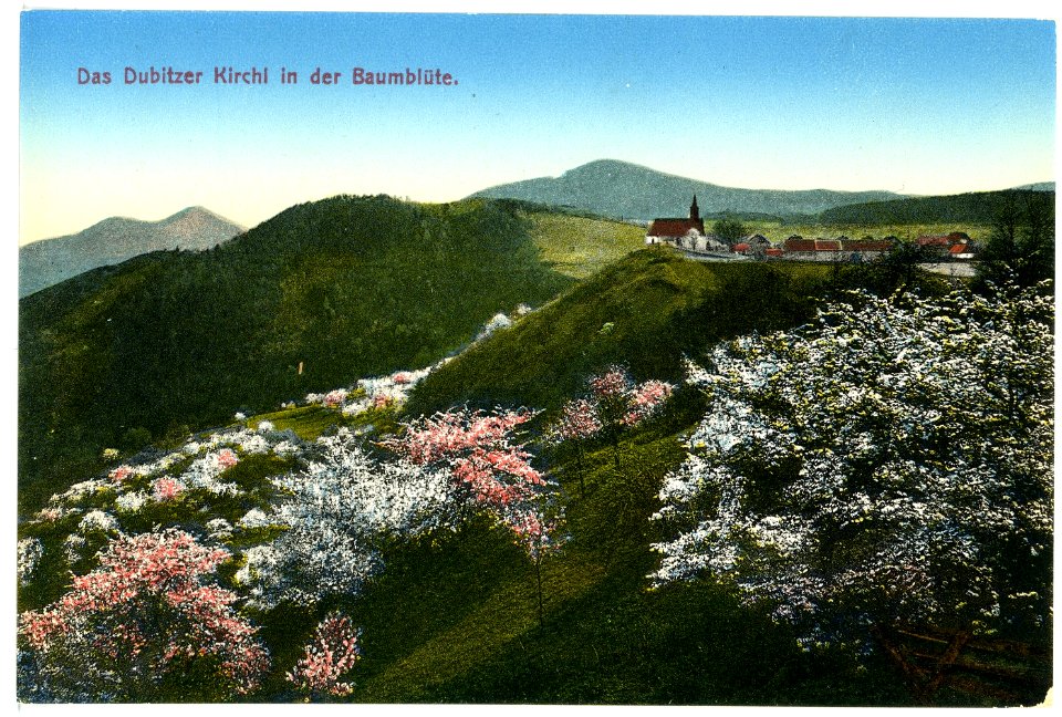15484-Dubitz-1913-Dubitzer Kirchl in der Baumblüte-Brück & Sohn Kunstverlag