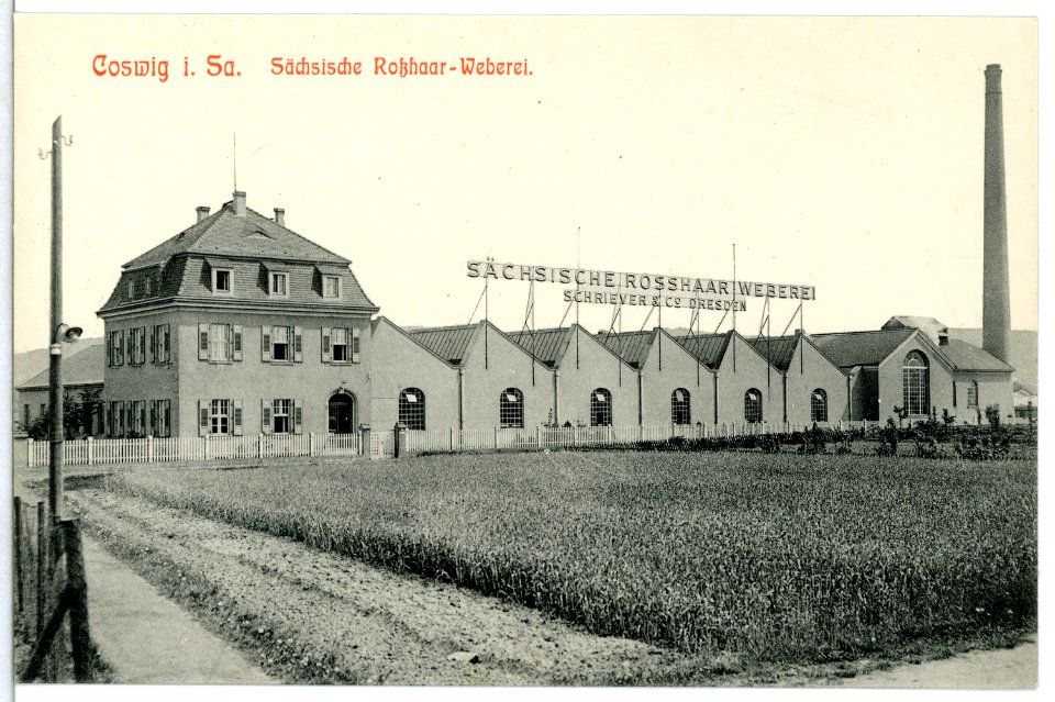 13304-Coswig-1911-Roßhaarweberei-Brück & Sohn Kunstverlag