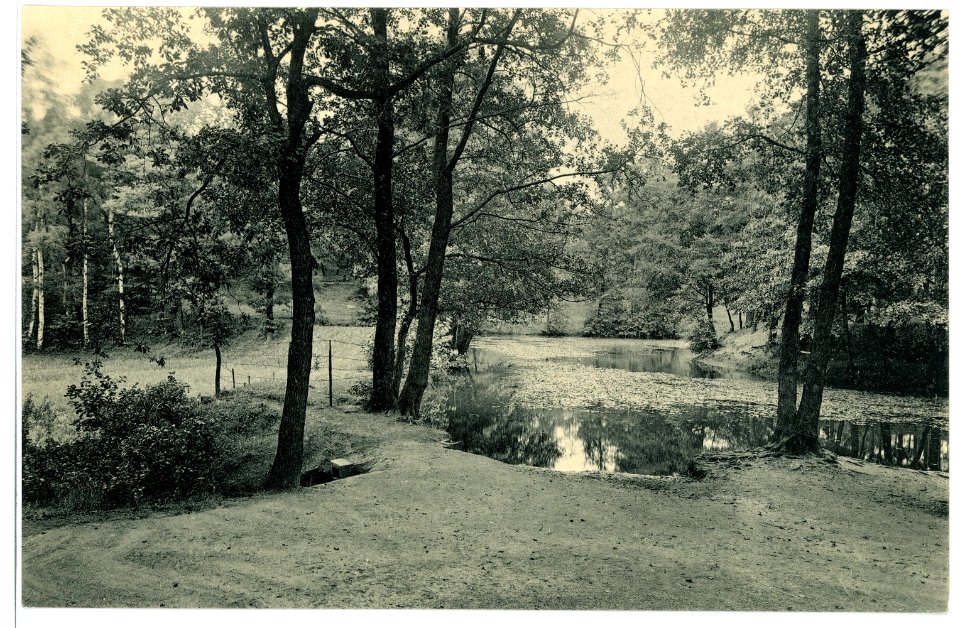 15501-Radebeul-1913-Lößnitzgrund - Schwarzes Teich-Brück & Sohn Kunstverlag