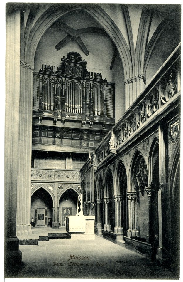 15544-Meißen-1913-Dom, Lettner und Orgel-Brück & Sohn Kunstverlag
