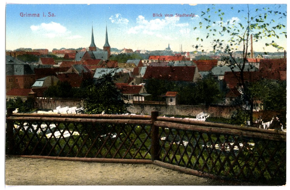 15583-Grimma-1913-Blick vom Stadtwald-Brück & Sohn Kunstverlag