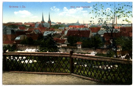 15583-Grimma-1913-Blick vom Stadtwald-Brück & Sohn Kunstverlag