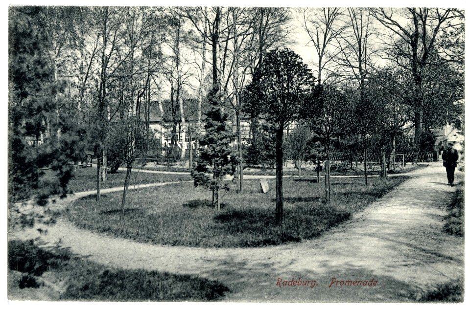 15655-Radeburg-1913-Promenade-Brück & Sohn Kunstverlag