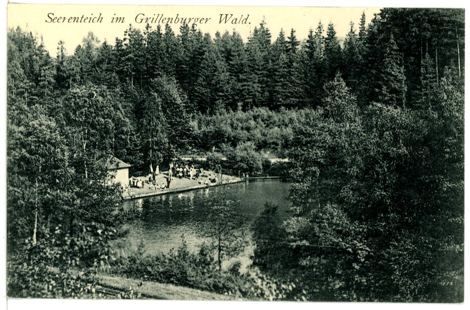 15990-Grillenburg-1913-Seerenteich-Brück & Sohn Kunstverlag