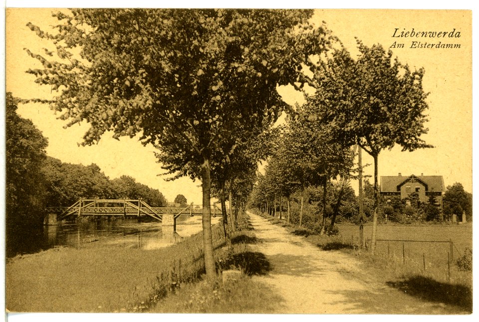 13112-Liebenwerda-1911-Am Elsterdamm-Brück & Sohn Kunstverlag