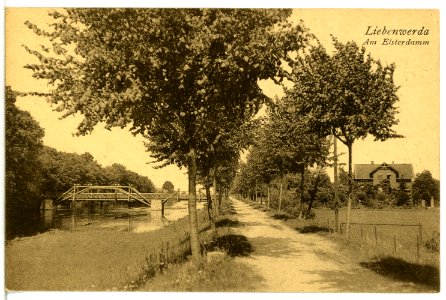 13112-Liebenwerda-1911-Am Elsterdamm-Brück & Sohn Kunstverlag