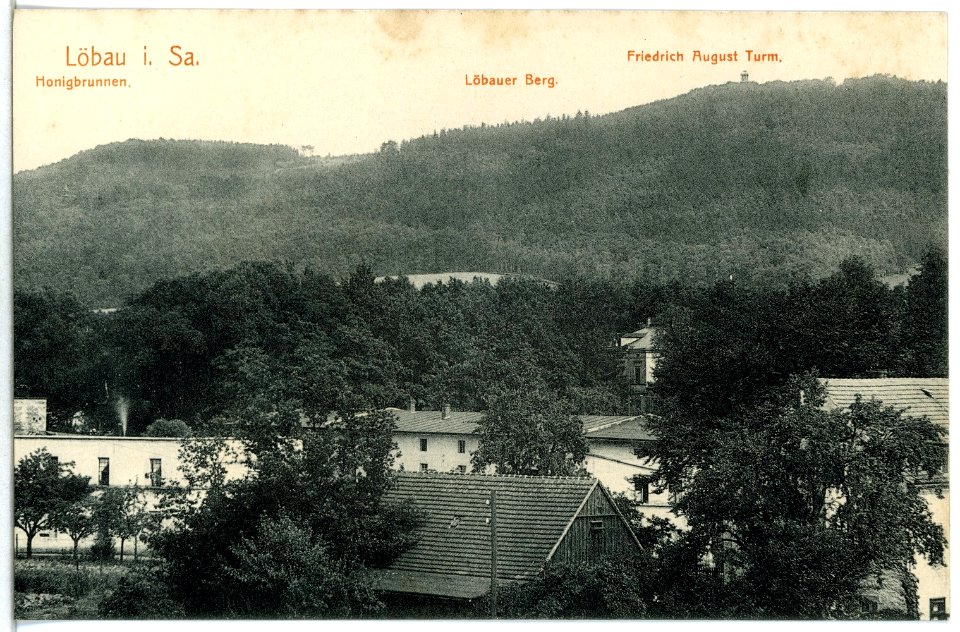 15120-Löbau-1912-Löbauer Berg, Honigbrunnen, Friedrich-August-Turm-Brück & Sohn Kunstverlag
