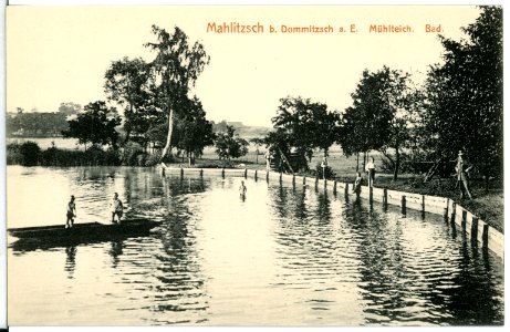 15084-Dommitzsch-1912-Mahlitzscher Mühlteich-Brück & Sohn Kunstverlag