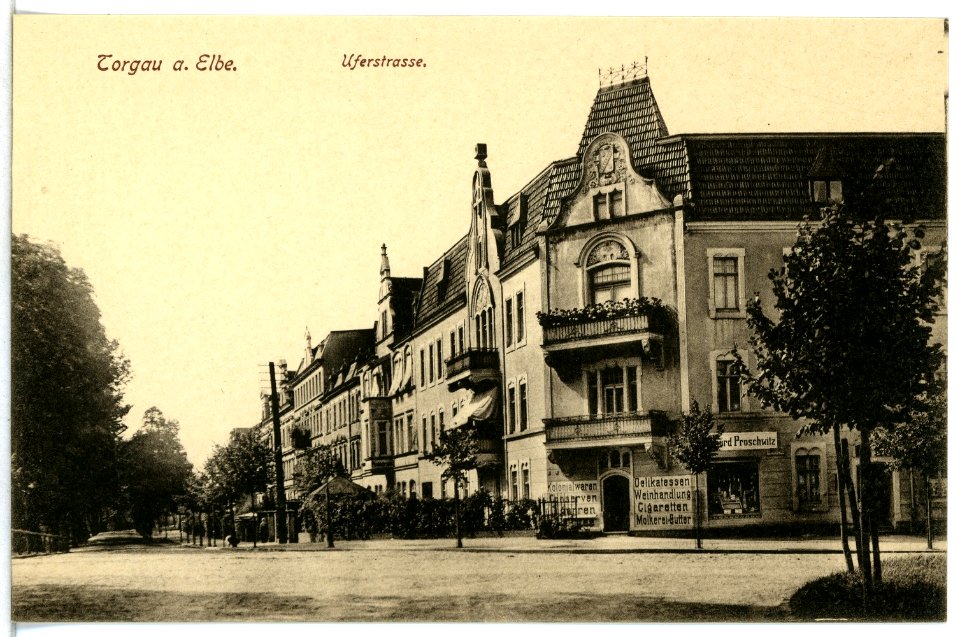 15188-Torgau-1912-Uferstraße-Brück & Sohn Kunstverlag