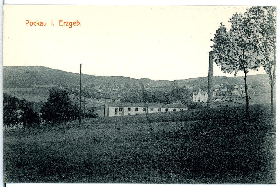 15306-Pockau-1913-Blick auf Pockau-Brück & Sohn Kunstverlag