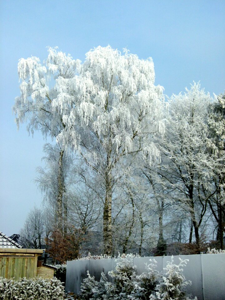 Cold frozen frost