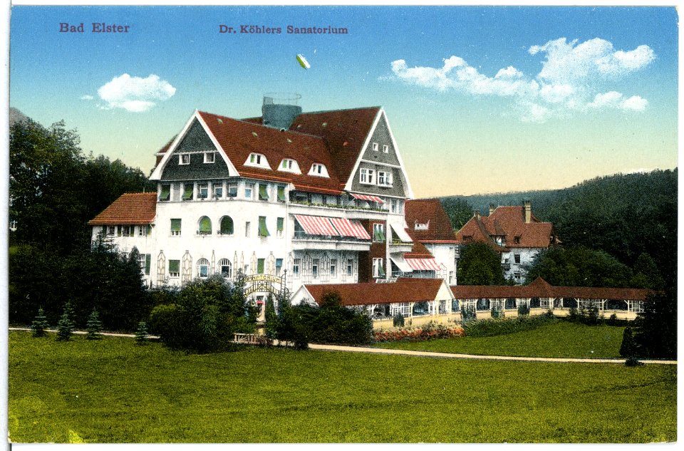 15454-Bad Elster-1913-Dr. Köhler Sanatorium-Brück & Sohn Kunstverlag