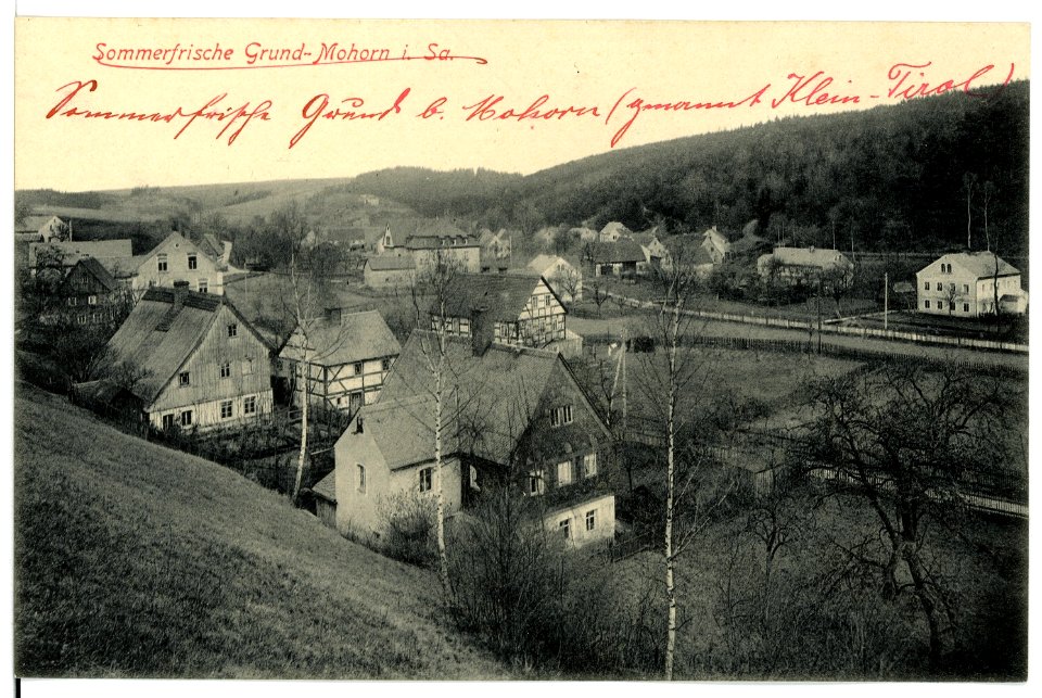 15718-Grund-Mohorn-1913-Blick auf Grund-Mohorn-Brück & Sohn Kunstverlag