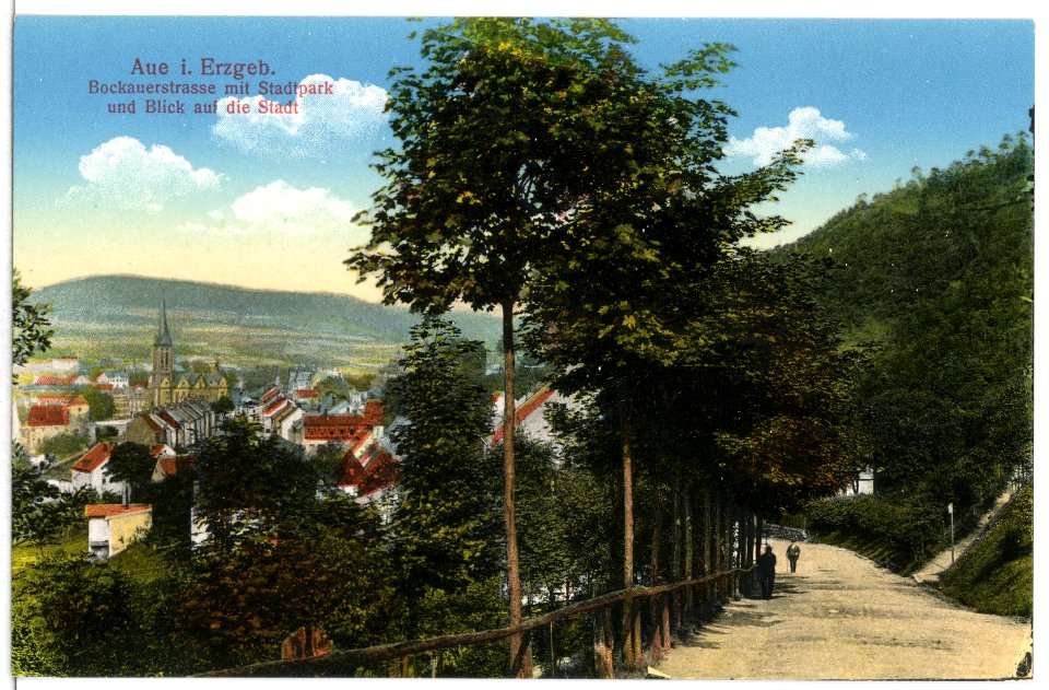 15432-Aue-1913-Bockauer Straße - Blick auf die Stadt-Brück & Sohn Kunstverlag