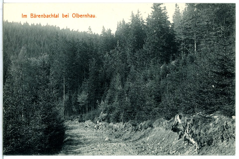 15311-Olbernhau-1913-Bärenbachtal-Brück & Sohn Kunstverlag