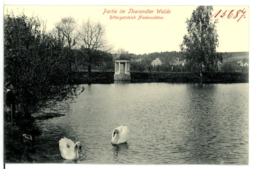 15687-Niederschöna-1913-Rittergutsteich-Brück & Sohn Kunstverlag