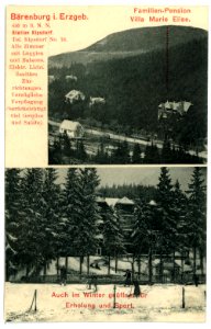 15555-Bärenburg-1913-Villa Marie Elise-Brück & Sohn Kunstverlag