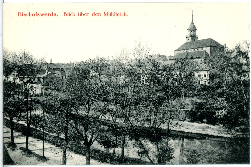 14642-Bischofswerda-1912-Partie am Mühlteich-Brück & Sohn Kunstverlag
