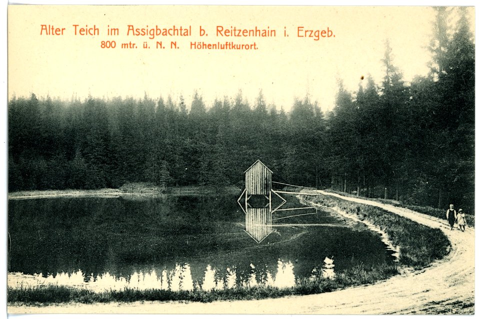 15573-Reitzenhain-1913-Alter Teich im Assigbachtal-Brück & Sohn Kunstverlag