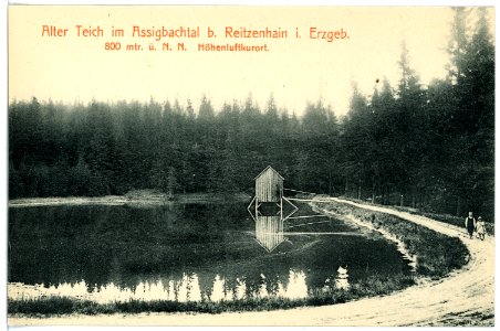 15573-Reitzenhain-1913-Alter Teich im Assigbachtal-Brück & Sohn Kunstverlag