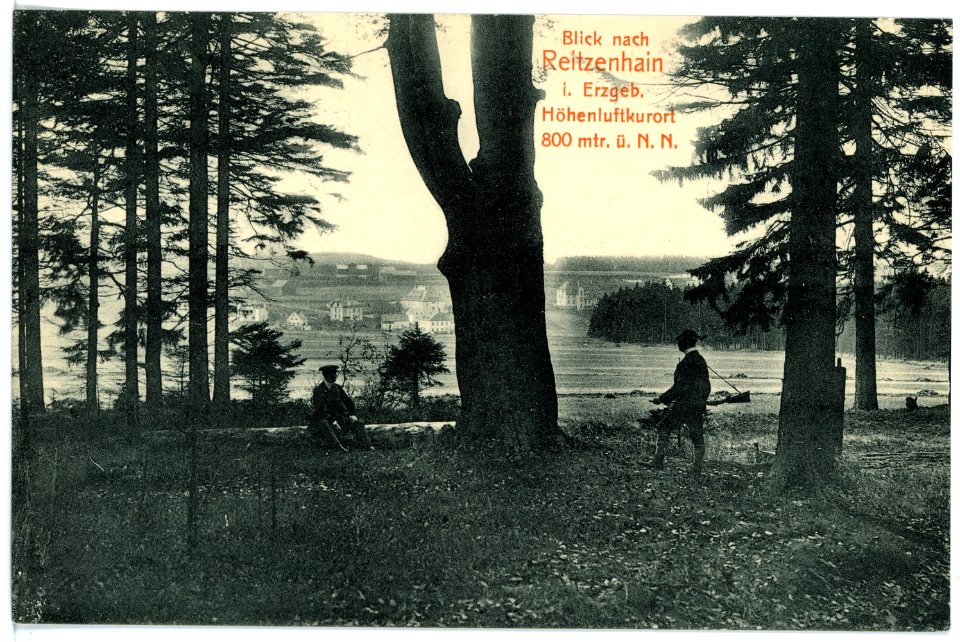 15571-Reitzenhain-1913-Blick nach Reitzenhain-Brück & Sohn Kunstverlag
