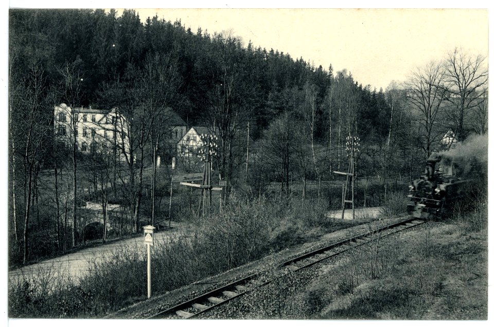 15702-Herzogswalde-1913-Restaurant Tännichtmühle - Gleisanlage mit Lok-Brück & Sohn Kunstverlag
