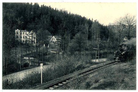 15702-Herzogswalde-1913-Restaurant Tännichtmühle - Gleisanlage mit Lok-Brück & Sohn Kunstverlag