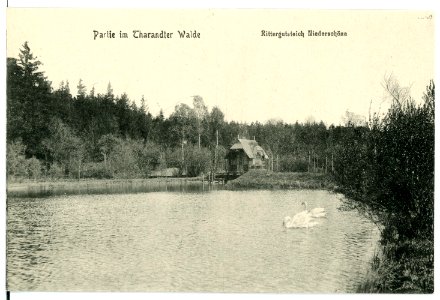 15691-Niederschöna-1913-Rittergutsteich-Brück & Sohn Kunstverlag