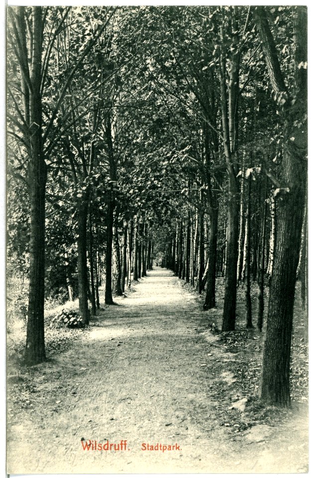 14271-Wilsdruff-1912-Stadtpark-Brück & Sohn Kunstverlag