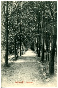 14271-Wilsdruff-1912-Stadtpark-Brück & Sohn Kunstverlag