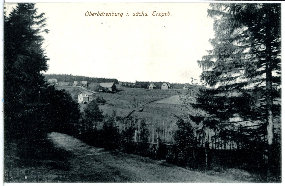 14180-Oberbärenburg-1912-Blick auf Oberbärenburg-Brück & Sohn Kunstverlag