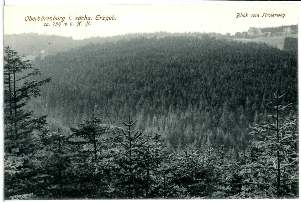 14189-Oberbärenburg-1912-Blick vom Tiroler Weg-Brück & Sohn Kunstverlag