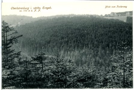 14189-Oberbärenburg-1912-Blick vom Tiroler Weg-Brück & Sohn Kunstverlag